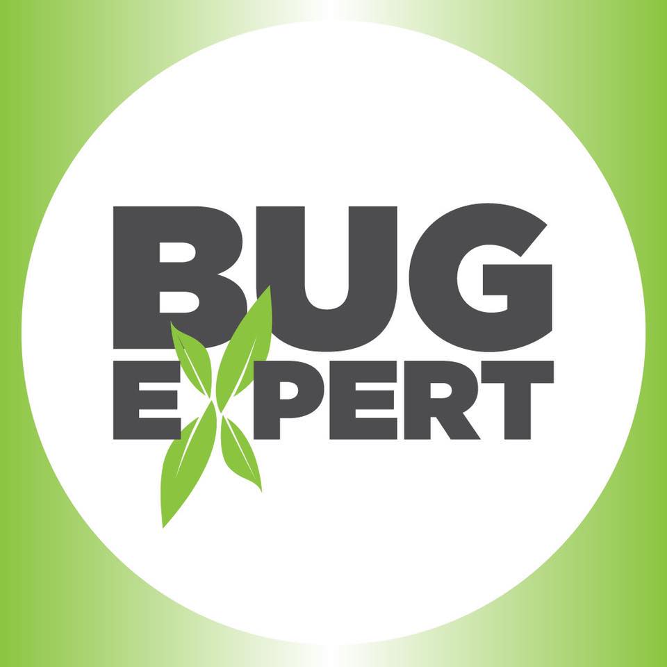 bugexpert